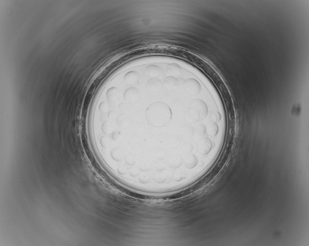 X0000114001025200911131135