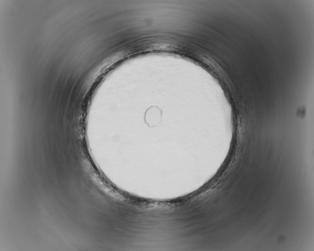 X0000114001026200911131136