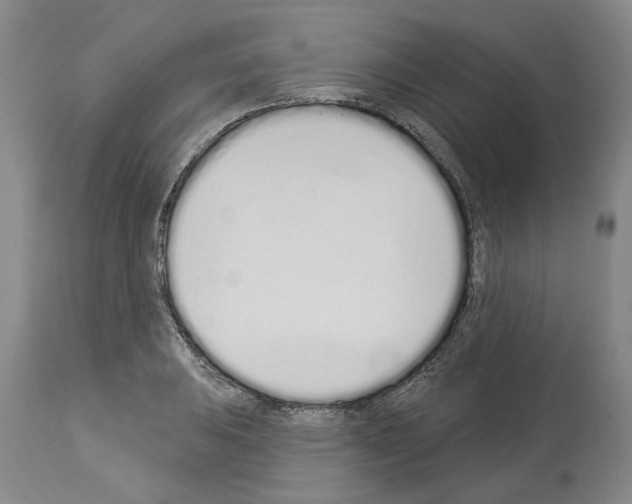 X0000114001031200911131136