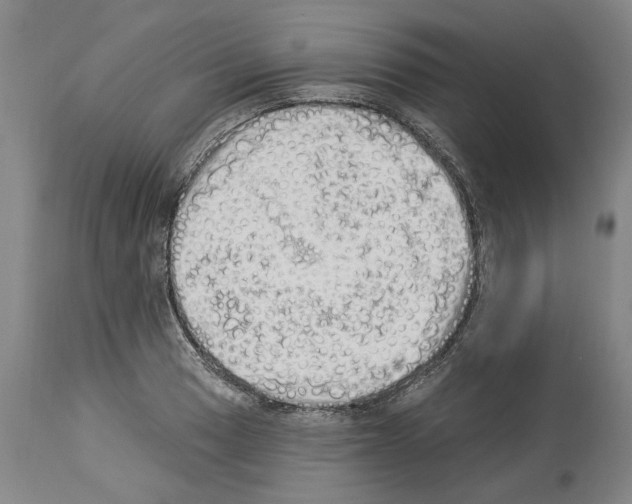 X0000114001033200911131136