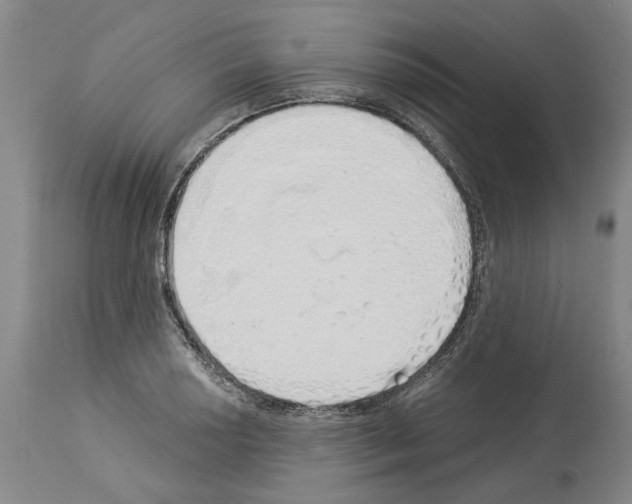 X0000114001034200911131136