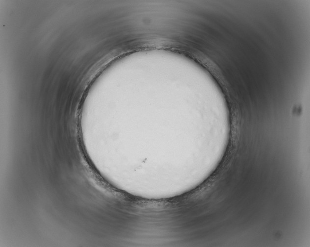 X0000114001039200911131136