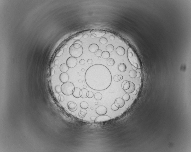X0000114001040200911131136