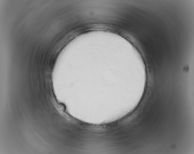 X0000114001049200911131136