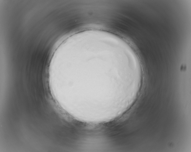X0000114001056200911131136