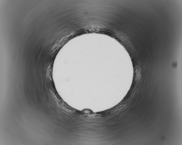 X0000114001060200911131135