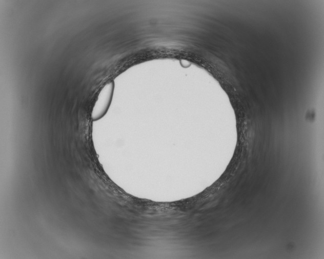 X0000114001061200911131135