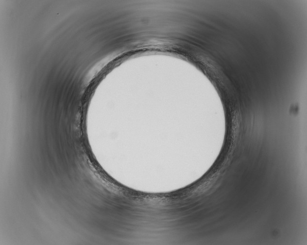 X0000114001066200911131135