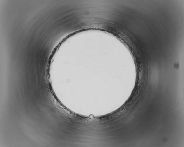 X0000114001068200911131135