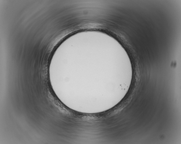 X0000114001073200911131135