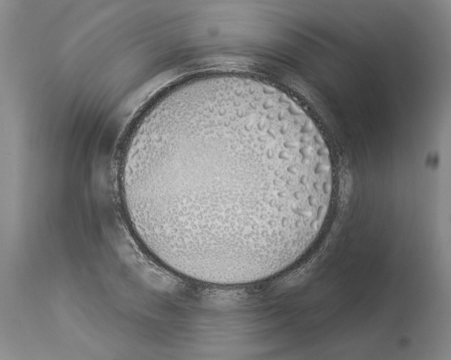 X0000114001074200911131135