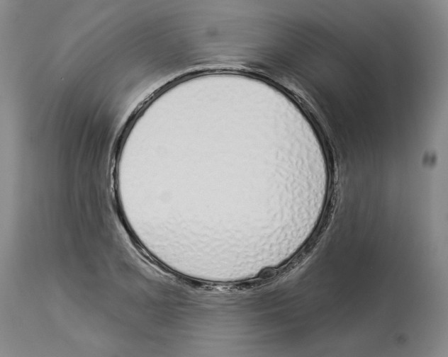 X0000114001077200911131135