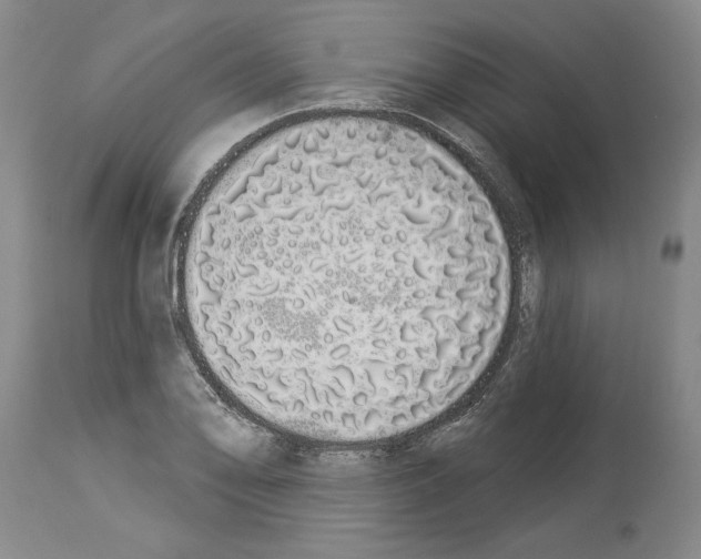X0000114001078200911131135