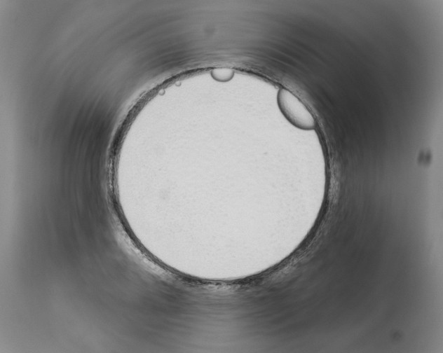 X0000114001080200911131135