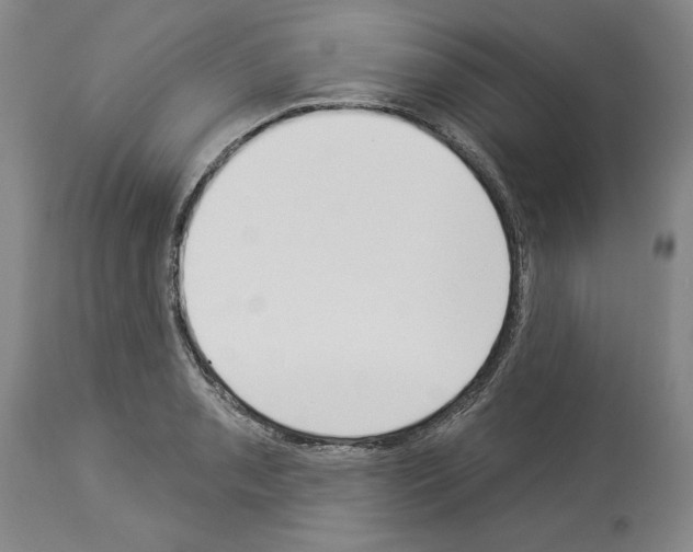 X0000114001085200911131135