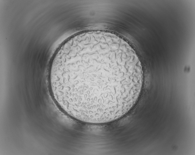 X0000114001086200911131135