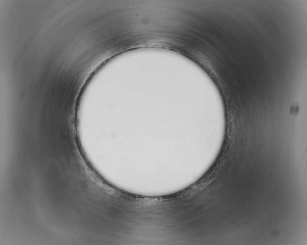 X0000114001087200911131135
