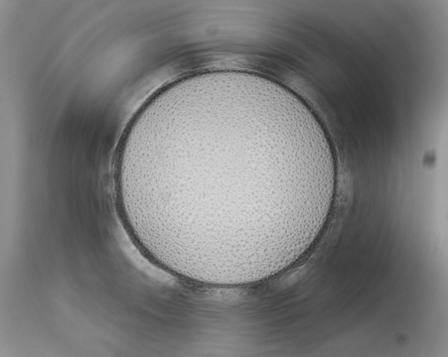 X0000114001090200911131135