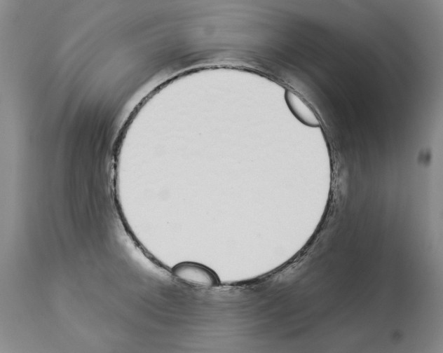 X0000114001092200911131135