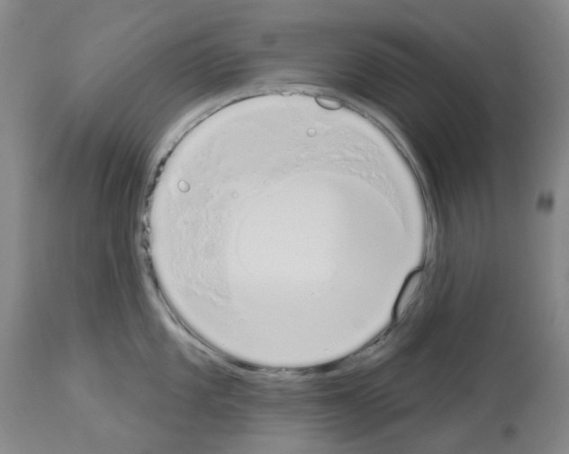 X0000114001101200911131135