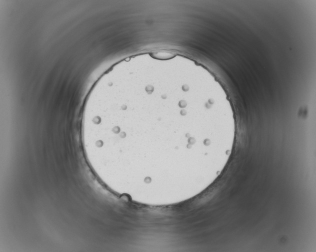X0000114001102200911131135