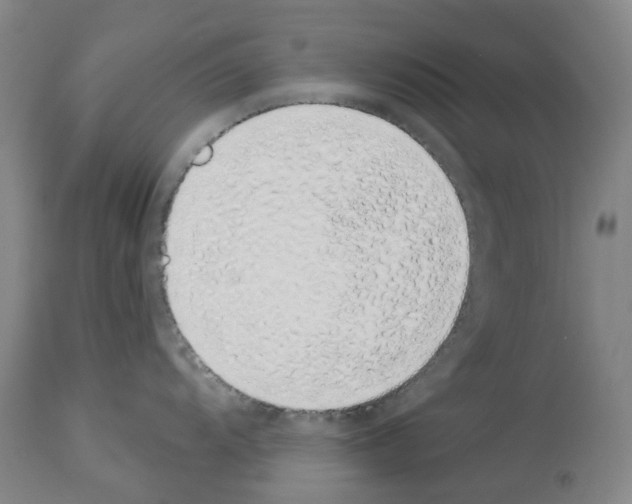 X0000114001104200911131135