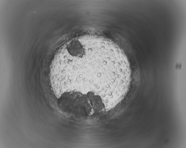 X0000114001105200911131134