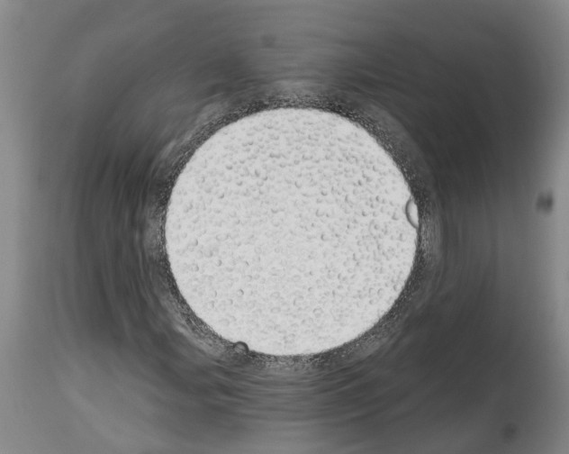 X0000114001107200911131134