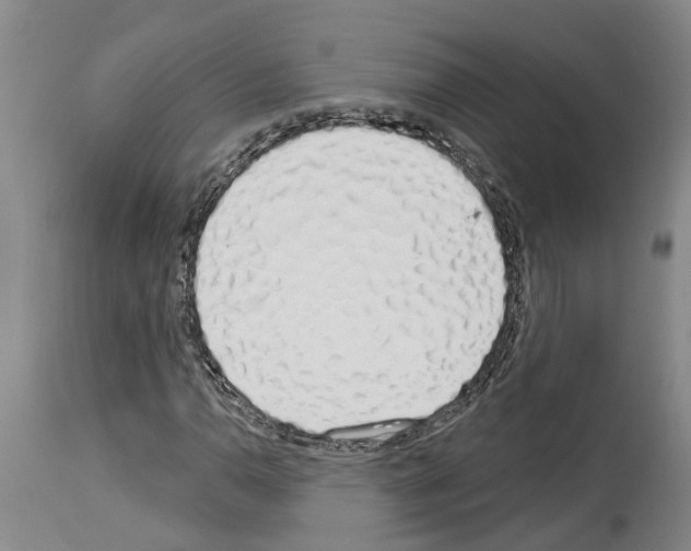 X0000114001110200911131134