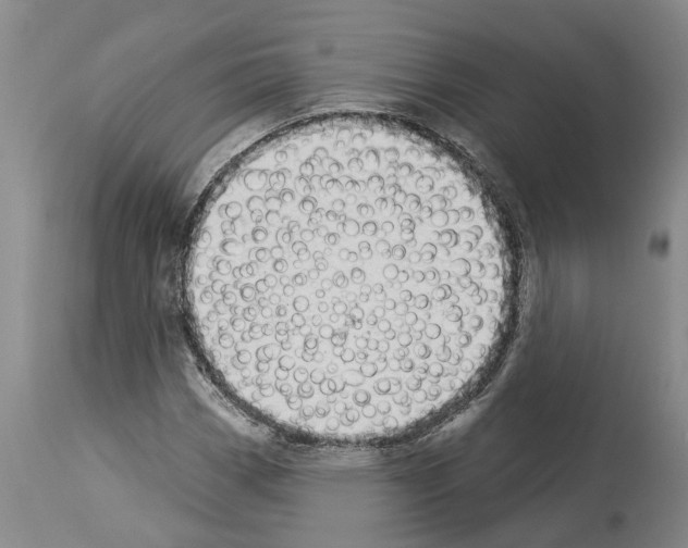 X0000114001113200911131134