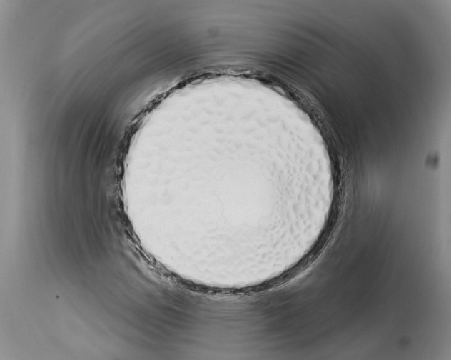 X0000114001114200911131134