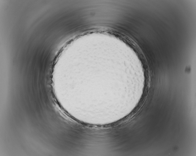 X0000114001116200911131134