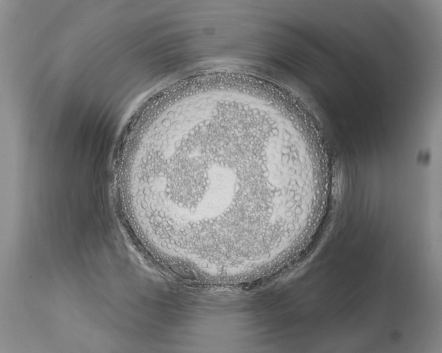 X0000114001117200911131134