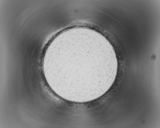 X0000114001120200911131134