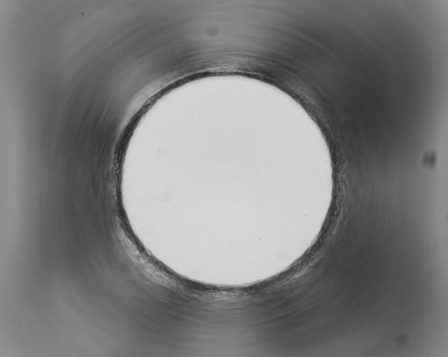 X0000114001122200911131134
