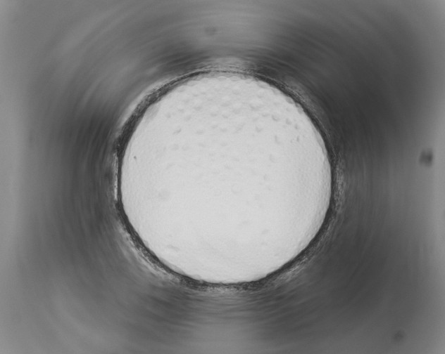 X0000114001123200911131134