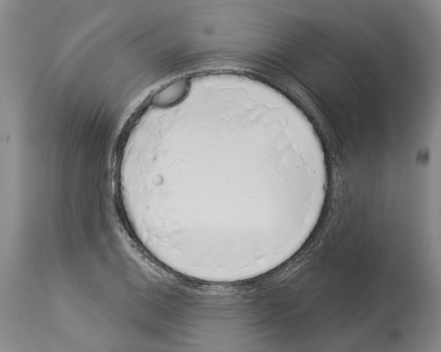 X0000114001124200911131134