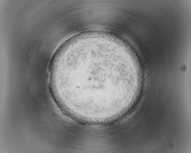 X0000114001125200911131134