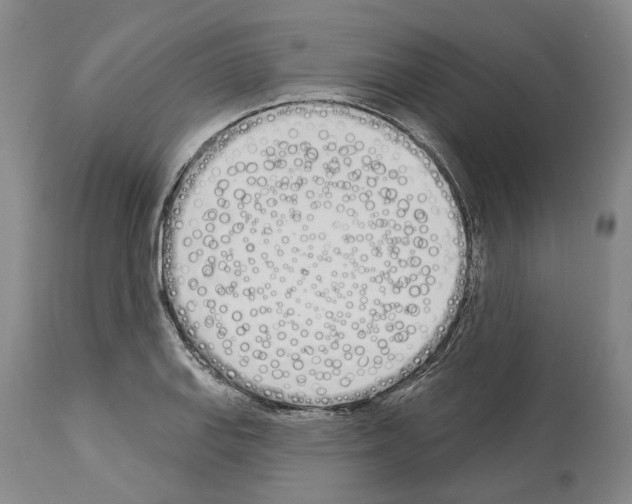 X0000114001127200911131134