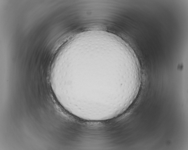 X0000114001129200911131134