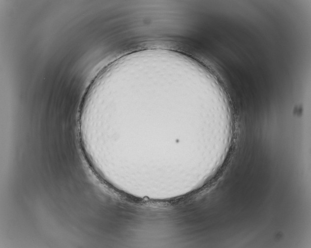 X0000114001133200911131134