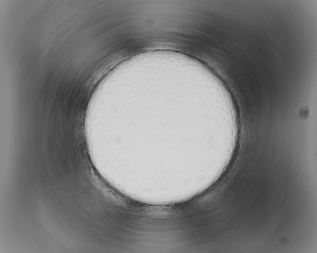 X0000114001137200911131134