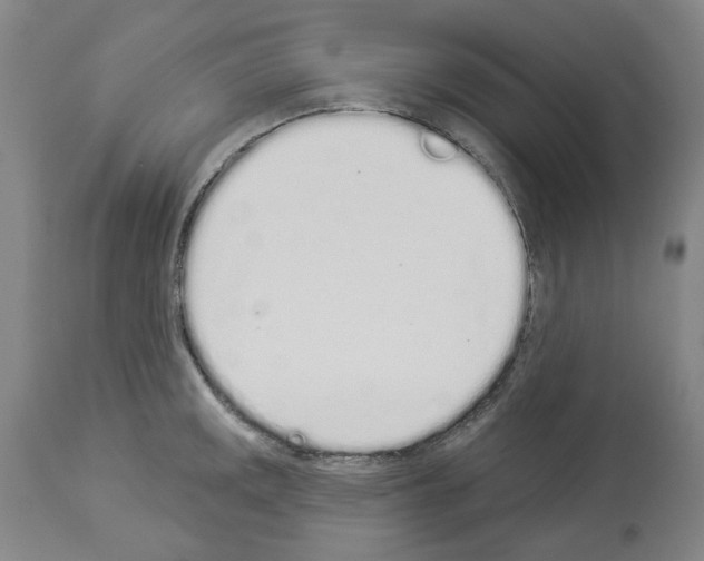 X0000114001141200911131134