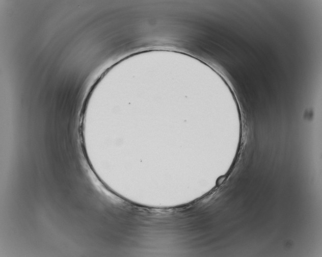 X0000114001144200911131134
