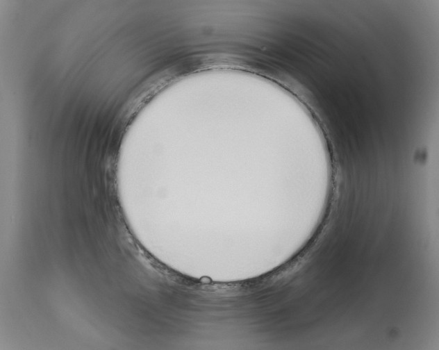 X0000114001145200911131135