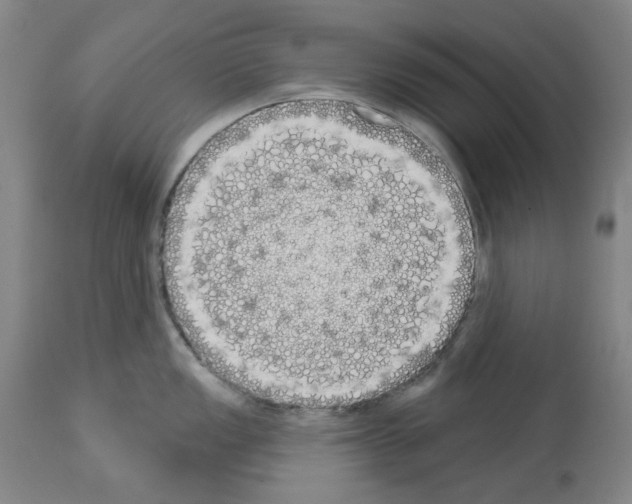 X0000114001149200911131135