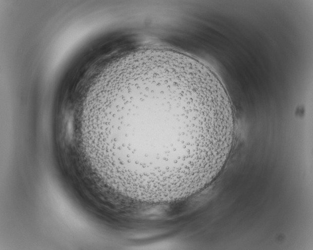 X0000114001150200911131135