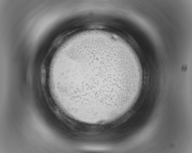 X0000114001151200911131135