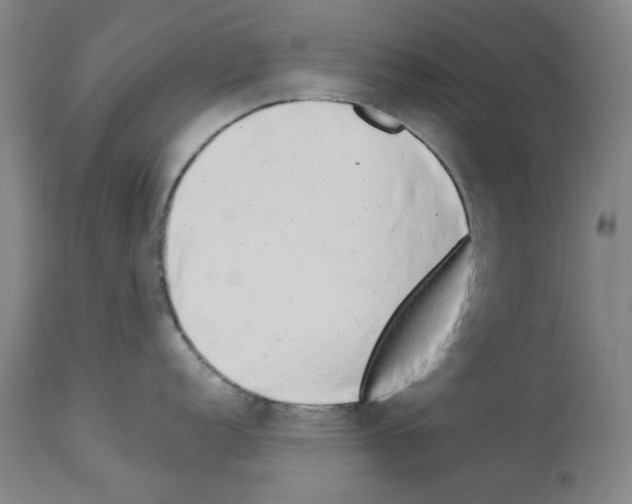 X0000114001152200911131135