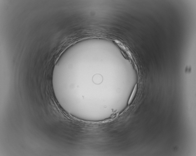 X0000114001153200911131134